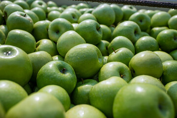 Assortment of green apples