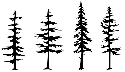 set of pine trees
