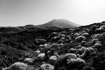 Volcano Pico Viejo - the second highest peak of Tenerife. Typical volcanic landscape. Canary...