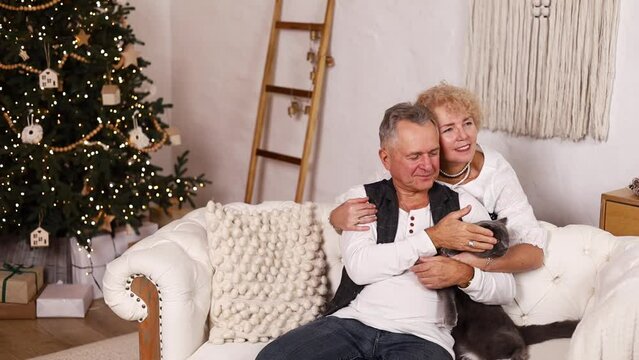 senior couple stroking and play with domestic cat in living room. Happy family, Attractive elderly mature man and woman grandparents in kitchen spend free leisure time.