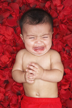 Portrait of Baby Crying