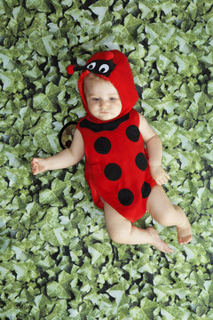 Baby Dressed as Ladybug