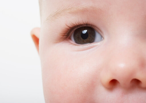 Close-up of Baby's Eye