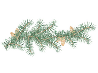 Naklejka na ściany i meble An isolated illustration of a pine branch with cones. Watercolor illustration. Christmas tree, coniferous forest, evergreen trees, needles, branches, greenery, hand-drawn. Christmas Decoration