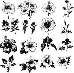 hibiscus flower leaf  silhouette floral plant illustration black nature summer tropical decoration vector - obrazy, fototapety, plakaty