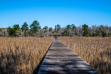 wooden pier on the river
