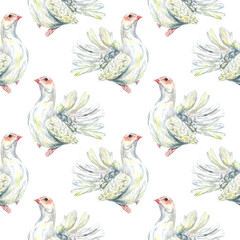 White doves. Watercolor illustration of seamless pattern isolated on white background. Valentines Day cards, wedding invitations, wrapping paper.