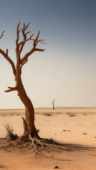 desert landscape, climate change concept