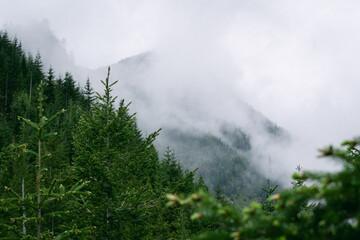 Misty mountain views from hiking trail along Snoqualmie Pass in Washington