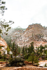 Obraz premium Zion National Park in the mist and snow