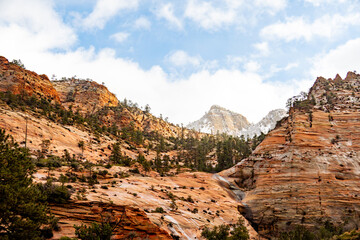 Zion National Park in the mist and snow