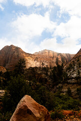 Zion National Park in the mist and snow