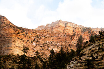 Zion National Park in the mist and snow