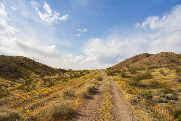 Small camper trailer in the desert