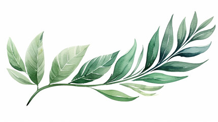 tropical watercolor herbal branch with leaves. watercolor illustration with green leaves on isolated white background suitable for Wedding Invitation, wallpapers, textile or cover