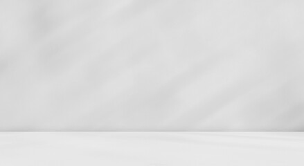 Empty gray concrete room studio with shadow on wall and floor. Minimal summer and spring backdrop. Interior design. Product presentation showroom. Cosmetic, fashion and beauty displaying room. 