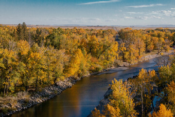 Elevated view landscape of an expanse of trees in yellow autumn colors and a small river, and the distant horizon.