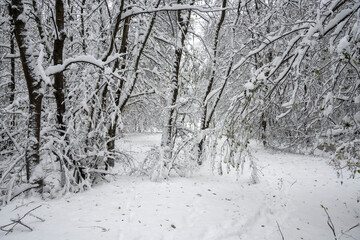 Winter Landscape of South Park in city of Sofia, Bulgaria