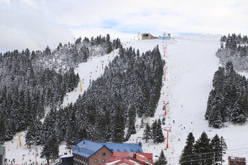 Ski lifts in winter. Ski lifts, snowy mountain and forest at the Ski Center in winter. Ski...
