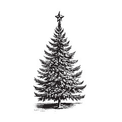 christmas tree isolated on white. vintage look. vector.