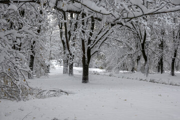 Winter Landscape of South Park in city of Sofia, Bulgaria