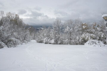 Winter Landscape of South Park in city of Sofia, Bulgaria