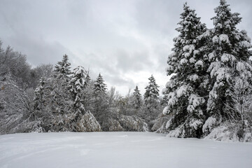 Winter Landscape of South Park in city of Sofia, Bulgaria