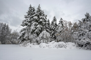 Winter Landscape of South Park in city of Sofia, Bulgaria