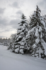 Winter Landscape of South Park in city of Sofia, Bulgaria