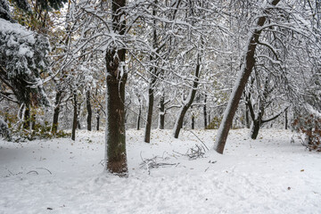 Winter Landscape of South Park in city of Sofia, Bulgaria