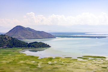 Serene Beauty: Panoramic vew of lake Skardarsko Jezero in Montenegro, featuring green lily pads, reflective mountains, and a pastel summer sky
