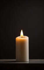 Fototapeta na wymiar A single high-end candle casting a soft, romantic light