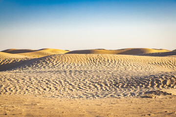 Sand dunes in the Sahara Desert.