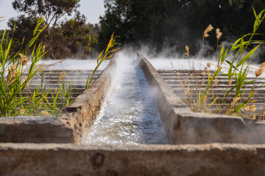 Hot spring at the Chott el Djerid dry salt lake.
