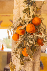 Dried oranges hanging from a post in Tunisia.
