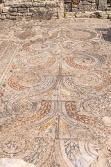 Mosaic floor at the Roman ruins in Dougga, Tunisia.