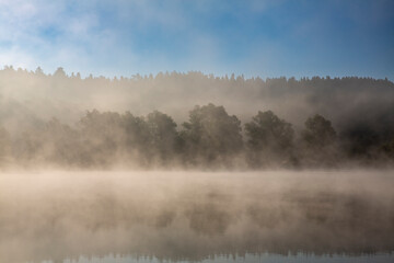 A foggy morning at the lake in the forest. Landscape.