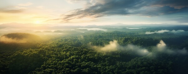 Naklejka premium Top view of beautiful green amazon forest landscape at sunset sunrise. Air dron view vibe. AI generated.