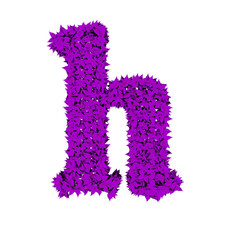 Symbol from purple leaves. letter h