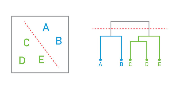 Dendrogram diagram representing a tree. Hierarchical Cluster Analysis.