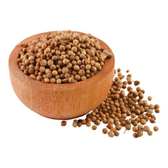 Coriander Seeds Isolated Transparent