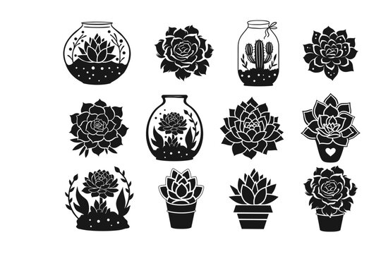 Vector cactus succulent silhouette set cutout nature black flower in a pot terrarium collection