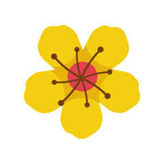 Vector illustration of flower on white background