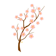 Vector realistic cherry blossom branch. cherry blossom with pink sakura flower vector