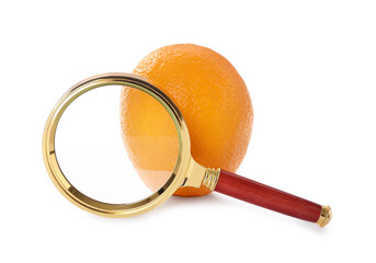 Cellulite problem. Orange and magnifying glass isolated on white
