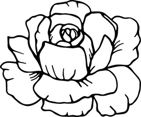 Rose Floral Line Art Icons Nature