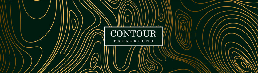 Abstract gold topographic lines on a dark background. Golden line waves topographical design. Wooden style Golden texture