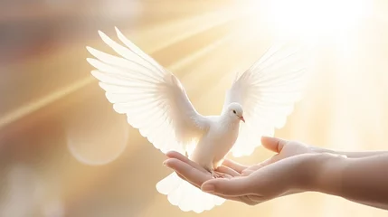 Fotobehang Freedom banner concept, praying hand and white dove happy flying on sunset, heaven, light flare background © Gethuk_Studio