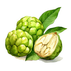 Obraz premium fruit shape