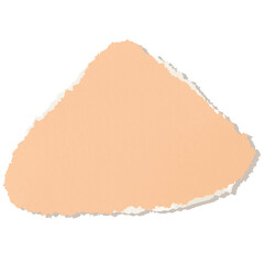 Scraps paper, torn paper, paper note page design elements